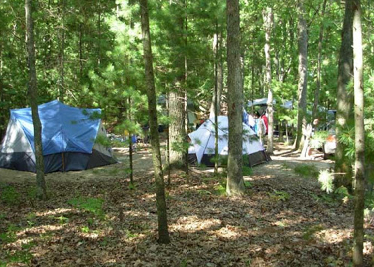 THE AMAZING SLIDESHOW ADDON!